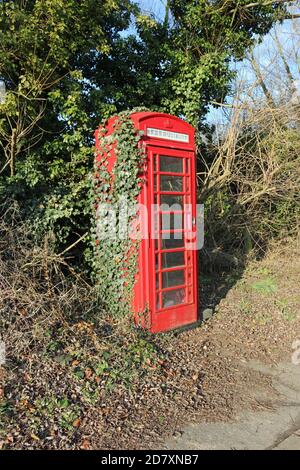 A Community Library In A Disused Red Telephone Box In The UK Stock ...