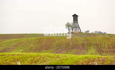 Rural landscape with wooden hunting blind on a field in an autumnal foggy morning. Stock Photo