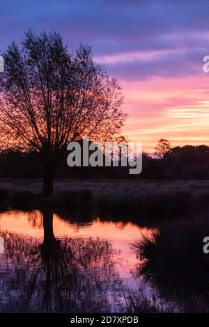 A brilliantly colourful sunrise reflects in the still waters of a lake in Bushy Park, West London