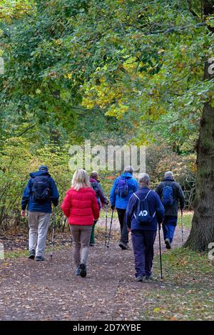 A group of elderly ramblers walking through Bushy Park on an autumn day west London England UK Stock Photo