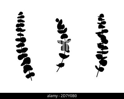 Silhouette of eucalyptus leaves and branches in flat vector style. Set of silver dollar eucalyptus tree foliage, natural seeded, gunni. Stock Vector