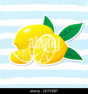 Lemon, slices of lemon with leaves. Vector. Logo concept. Hand drawn vector illustration Stock Vector