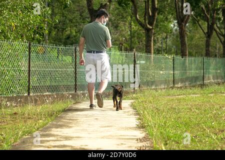 Dog follow man wearing mask while taking a walk at the park. Outdoor activity with pet dog during pandemic. Stock Photo