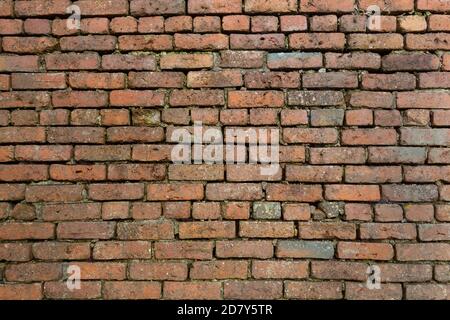 Old red brick garden wall Stock Photo