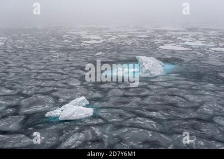 Drifting ice in the Arctic Ocean in Svalbard. The pack ice is floating as an ice sheet on the sea in the Arctic circle north of Svalbard, Spitsbergen. Stock Photo