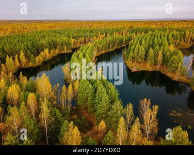 Aerial view of beautiful natural landscape. Lake in golden autumn forest Stock Photo