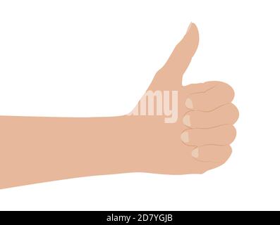 Woman hand on white background, flat design vector illustration Stock Vector
