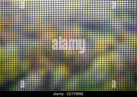 Close-up mosquito wire screen texture, mosquito net for prevent insects and bugs Stock Photo