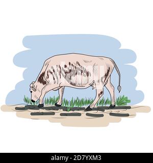 Cow, Hand drawn in a graphic style. Vintage engraving illustration for poster, web Stock Vector