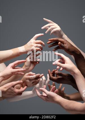 Humanity. Hands of different people in touch isolated on grey studio background. Concept of relation, diversity, inclusion, community, togetherness. Weightless touching, creating one unit. Stock Photo