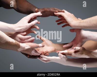 Planet Earth. Hands of different people in touch isolated on grey studio background. Concept of relation, diversity, inclusion, community, togetherness. Weightless touching, creating one unit. Stock Photo