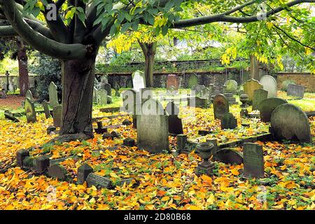 London, UK. 26th Oct, 2020. London's Autumn colours displayed in West Brompton cemetery, Chelsea. Credit: Brian Minkoff/Alamy Live News Stock Photo