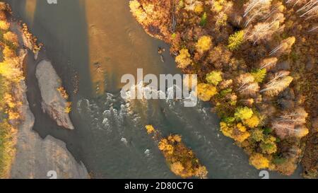 Aerial view from drone of stream of mountain river and fall forest. Beautiful autumn nature landscape on sunset, birds eye view. Strong river flow wit Stock Photo