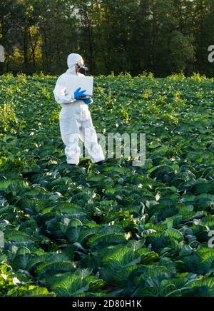 Scientist wearing a white protective equipment, chemical mask and glasses uses Laptop on farm field. Stock Photo