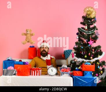 Christmas tree with Santa throwing teddy bear up and sits near gift boxes on pink background. Christmas eve and New Year concept Stock Photo