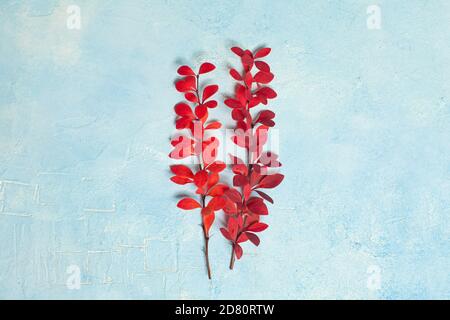Minimal fall background composition with red autumn branches on blue plaster stucco texture Stock Photo