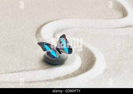 zen garden meditation stone background and butterfly with stones and lines in sand for relaxation balance and harmony spirituality or spa wellness. Stock Photo