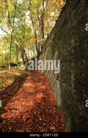 Highwood bank limestone quarry on the Croft castle estate, Herefordshire, England, UK. Stock Photo