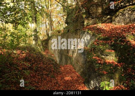 Highwood bank limestone quarry on the Croft castle estate, Herefordshire, England, UK. Stock Photo