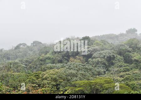 view of mountains, photo as a background ,taken in Arenal Volcano lake park in Costa rica central america Stock Photo