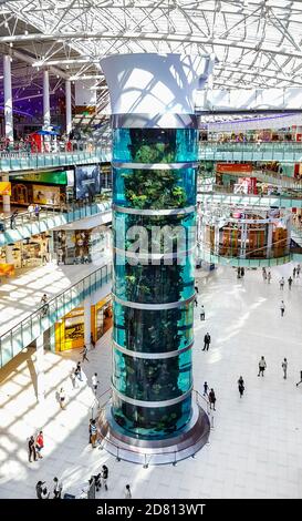 Moscow, Russia - August 7: Shopping center Auchan on , Stock Photo