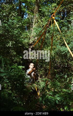 A man sets a slackline over a river in the forest at sunset. Stock Photo