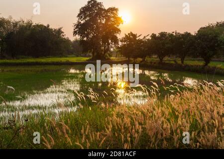 Rural landscapes in Northern Thailand Stock Photo