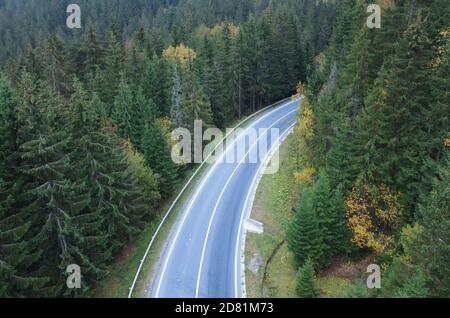 The road passes through a dense forest in the mountains. Stock Photo