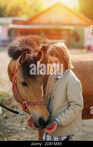 Caring ginger girl letting her horse to smell brush Stock Photo