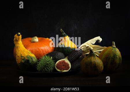 Autumn composition with different types of pumpkins, black corn on the cob, an avocado and a fig. Dark food photography and light painting technique Stock Photo