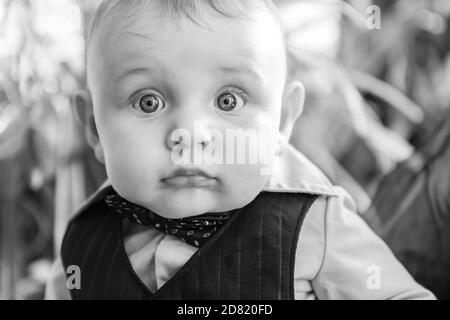 Black and white portrait of cute little infant baby boy in formal clothing with bow looking with curiosity with wide eyes open  Stock Photo