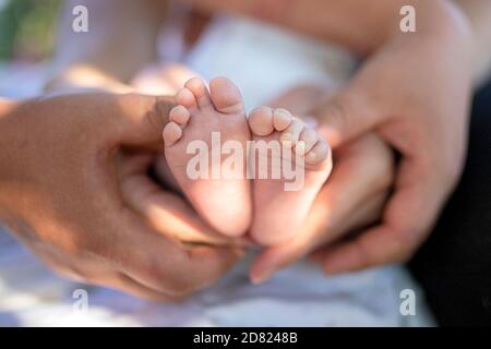 Newborn baby feet in parents’ hands outside. Close up Stock Photo