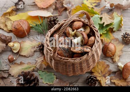 Mushrooms basket and autumn leaves on wooden background, copy space Stock Photo