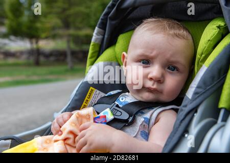 Portrait of cute little baby boy sitting in modern pram, with seatbelt tied for safety while thinking holding napkin on street while out for stroll Stock Photo