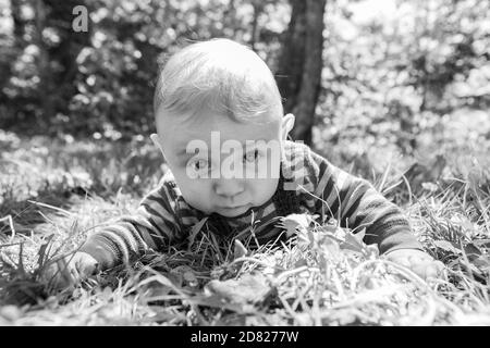 Black and white portrait of infant baby boy lying on grass, on stomach in outdoor park playing and enjoying with grass looking with wide open eyes Stock Photo