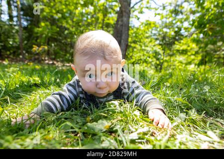 Portrait of infant baby boy lying on grass on stomach in outdoor park playing and enjoying with grass looking with wide open eyes Stock Photo