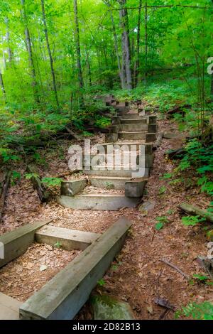 The Gut Conservation area Apsley Ontario Canada Gorge nature trail Stock Photo