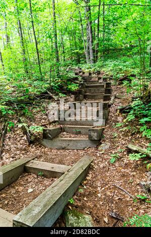 The Gut Conservation area Apsley Ontario Canada Gorge nature trail Stock Photo