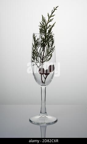 Abstract holiday background with a champagne glass with a coniferous branch on a light background. Stock Photo