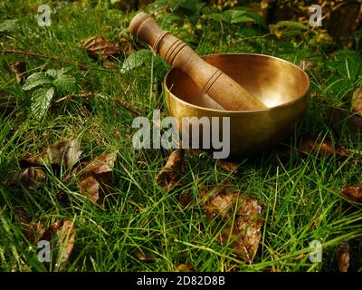 Singing bowl placed in the green and fresh grass Stock Photo