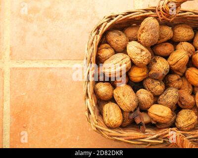 Basket of freshly harvested walnuts placed on the tile surface Stock Photo
