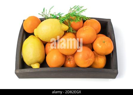Tangerines and lemons in a box with a coniferous branch, isolated on a white background. Stock Photo