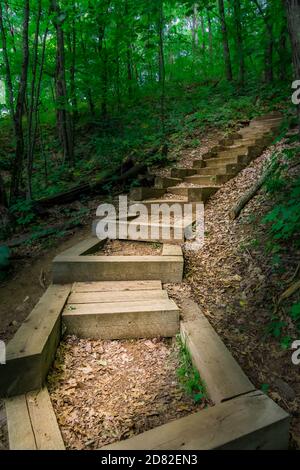 The Gut Conservation area Apsley Ontario Canada Gorge nature trail Stock Photo