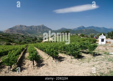 vineyard and white shrine in Nemea against blue sky with a big white cloud, Greece Stock Photo