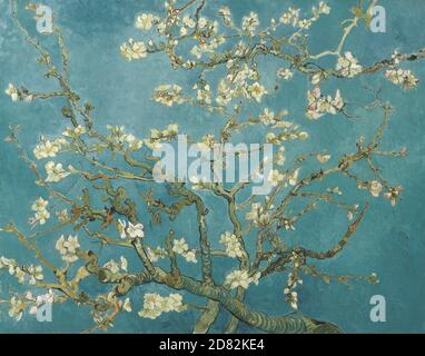 Title: Almond Blossom Creator: Vincent van Gogh Date: 1890 Medium: Oil on canvas Dimensions: 73.3 x 92.4 cm Location: Van Gogh Museum, Amsterdam Stock Photo