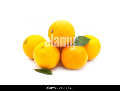 organic Spanish oranges  in a pile with leaves on a white isolated background Stock Photo
