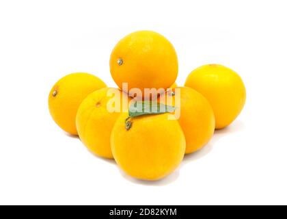 pile of fresh organic Spanish oranges on a white isolated background Stock Photo