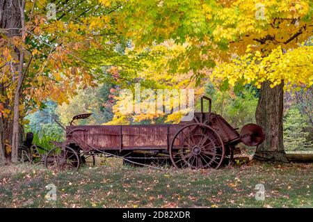 Rusted antique farm machinery sits under a colorful canopy of leaves in this fall still life Stock Photo