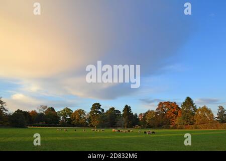 Decaying storm clouds in clear sky autumn evening Downe, Kent, once home to Charles Darwin. Clouds luminous and glowing as sun sets beautiful sky Stock Photo