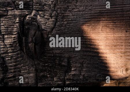Milano -10/101/2020: close up black scratched wooden background. Details on the surface of charcoal Stock Photo